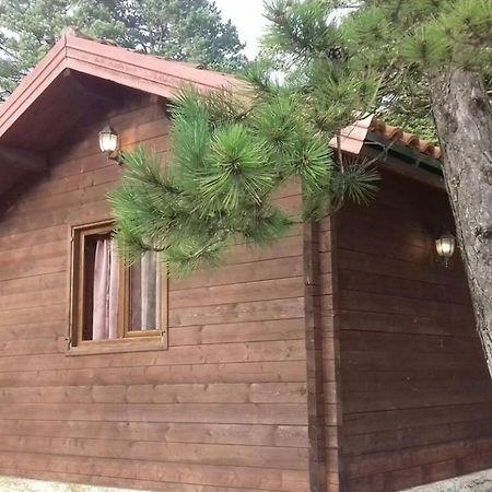 Iliria Tiny House Llogora Orikum Exterior photo