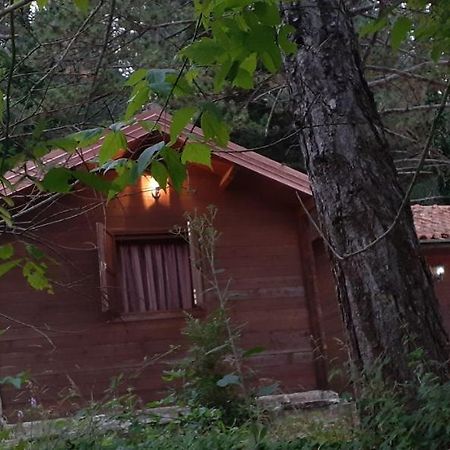 Iliria Tiny House Llogora Orikum Exterior photo