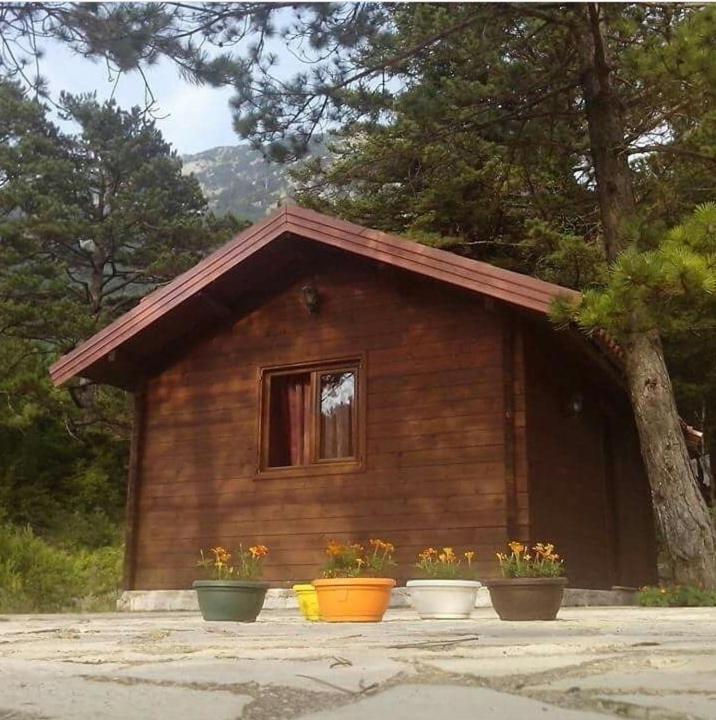 Iliria Tiny House Llogora Orikum Exterior photo