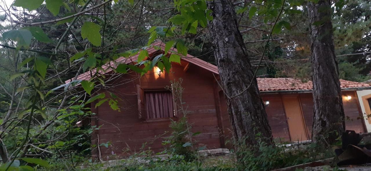 Iliria Tiny House Llogora Orikum Exterior photo